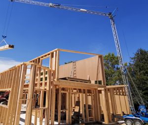 Actualités & Promos